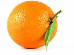 LARANJA DANÇARINAS