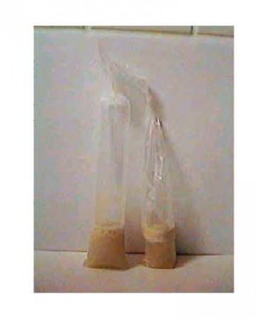 LEVEDURAS: QUENTE OU FRIO